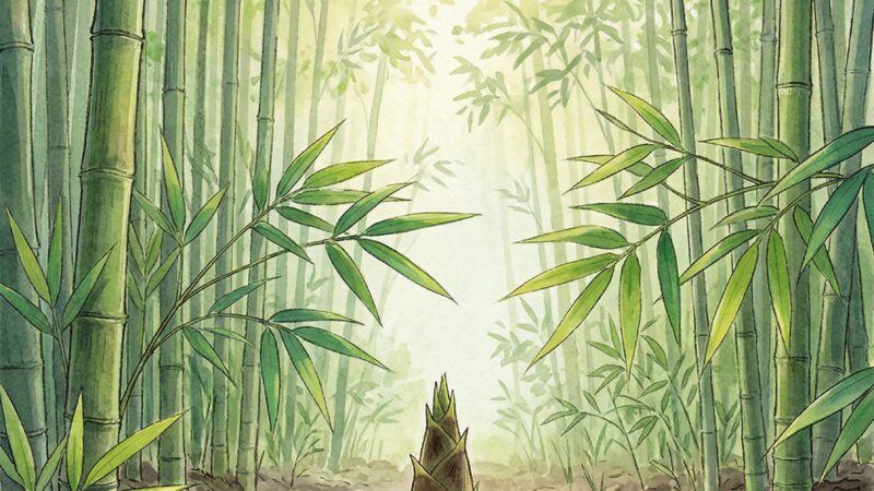 竹筍生ず（たけのこしょうず）