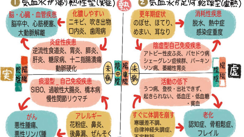 食べ物から将来かかる病気の予測(中医学での体質診断)